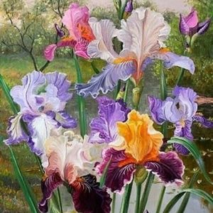 Meet your Posher, Cassie